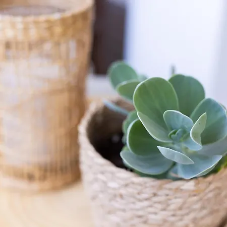 Casa Uamisun With Seaview & Pool Сasa de vacaciones *