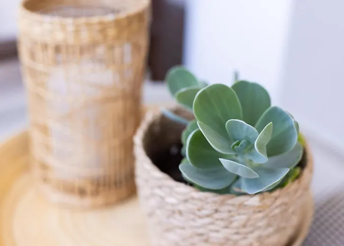 Casa Uamisun With Seaview & Pool Сasa de vacaciones *